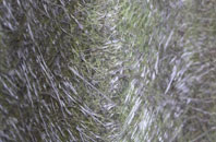 Highmoor fibreglass roof work